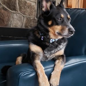 Meet your Posher, Teena